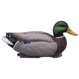 KIT 12PZ STAMPI FINAL APPROACH GERMANO MASCHIO E FEMMINA KIT 12PZ STAMPI FINAL APPROACH GERMANO MASCHIO E FEMMINA