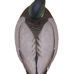 KIT 12PZ STAMPI FINAL APPROACH GERMANO MASCHIO E FEMMINA KIT 12PZ STAMPI FINAL APPROACH GERMANO MASCHIO E FEMMINA