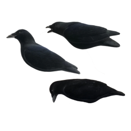 KIT 3PZ STAMPI FINAL APPROACH STAMPI CORVO FLOCKED