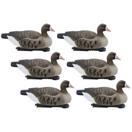 KIT 6 Pz FINAL APPROACH DI STAMPI OCA LOBARDELLA