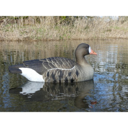 KIT 6 Pz FINAL APPROACH DI STAMPI OCA LOBARDELLA