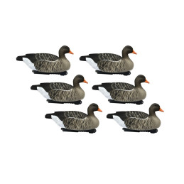 KIT 6 Pz FINAL APPROACH DI STAMPI OCA SELVATICA