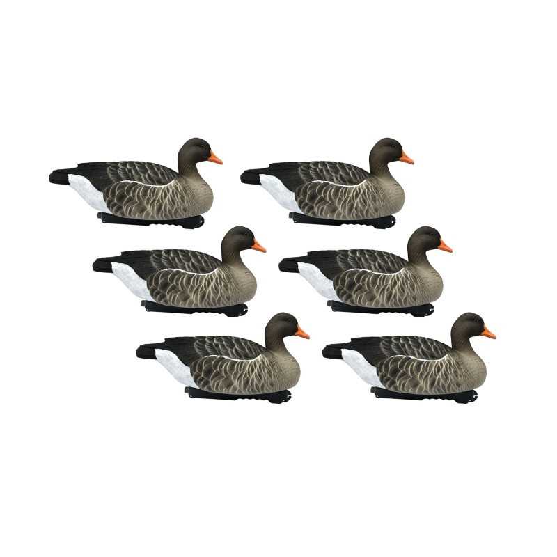 KIT 6 Pz FINAL APPROACH DI STAMPI OCA SELVATICA