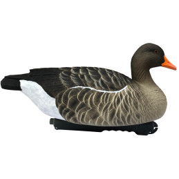 KIT 6 Pz FINAL APPROACH DI STAMPI OCA SELVATICA