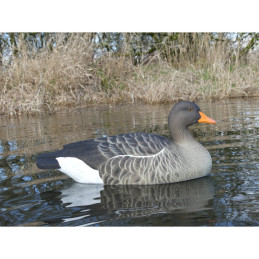 KIT 6 Pz FINAL APPROACH DI STAMPI OCA SELVATICA