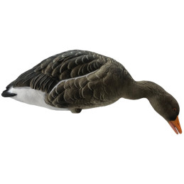 KIT 6 Pz FINAL APPROACH DI STAMPI OCA SELVATICA