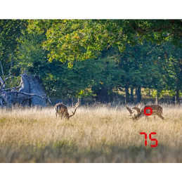 Telemetro Leica Rangemaster CRF PRO Telemetro Leica Rangemaster CRF PRO