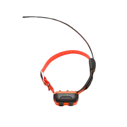 PROMO - Collare aggiuntivo GPS CANICOM GPS 2