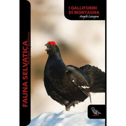 GALLIFORMI DI MONTAGNA