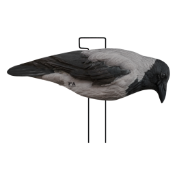 SET DA 12PZ DI STAMPO 2D CORNACCHIA