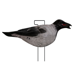 SET DA 12PZ DI STAMPO 2D CORNACCHIA