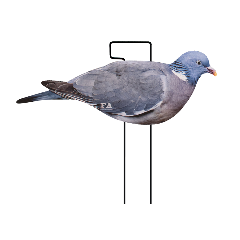 SET DA 12PZ DI STAMPO 2D COLOMBACCIO SET DA 12PZ DI STAMPO 2D COLOMBACCIO