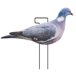 SET DA 12PZ DI STAMPO 2D COLOMBACCIO SET DA 12PZ DI STAMPO 2D COLOMBACCIO