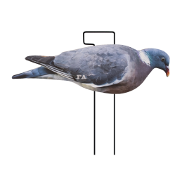 SET DA 12PZ DI STAMPO 2D COLOMBACCIO SET DA 12PZ DI STAMPO 2D COLOMBACCIO