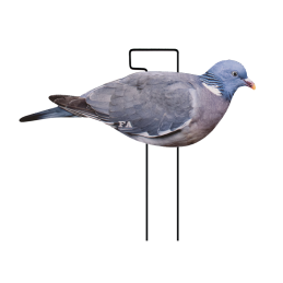 SET DA 12PZ DI STAMPO 2D COLOMBACCIO