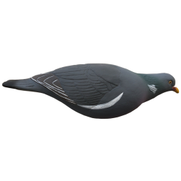 SET DA 12PZ STAMPO COLOMBACCIO SET DA 12PZ STAMPO COLOMBACCIO