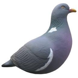 SET DA 12PZ STAMPO COLOMBACCIO