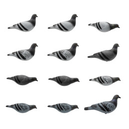 SET DA 12PZ DI STAMPO PICCIONE SET DA 12PZ DI STAMPO PICCIONE