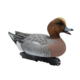 SET DA 6PZ DI STAMPO FISCHIONE MASCHIO E FEMMINA