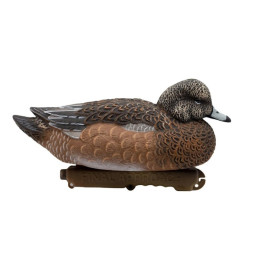 SET DA 6PZ DI STAMPO FISCHIONE MASCHIO E FEMMINA SET DA 6PZ DI STAMPO FISCHIONE MASCHIO E FEMMINA