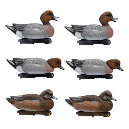 SET DA 6PZ DI STAMPO FISCHIONE MASCHIO E FEMMINA SET DA 6PZ DI STAMPO FISCHIONE MASCHIO E FEMMINA