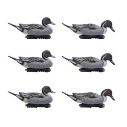 SET DA 6PZ DI STAMPO CODONE MASCHIO SET DA 6PZ DI STAMPO CODONE MASCHIO