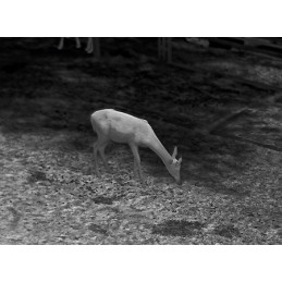 Monoculare Termico Guide TD433L Monoculare Termico Guide TD433L