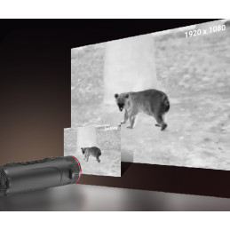 Monoculare Termico Guide TJ650