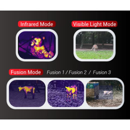 Monoculare Termico Guide TL650