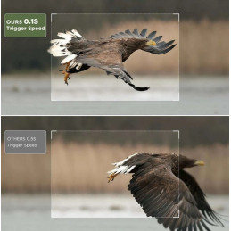 Fototrappola Ceyomur CY95 con Wi-fi