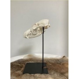 Supporto per trofeo di capriolo o camoscio RUSTY