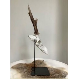 Supporto per trofeo di capriolo o camoscio RUSTY