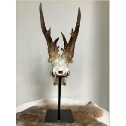 Supporto per trofeo di capriolo o camoscio RUSTY