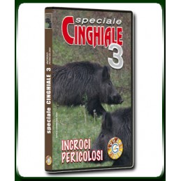 Speciale CINGHIALE 3 INCROCI PERICOLOSI