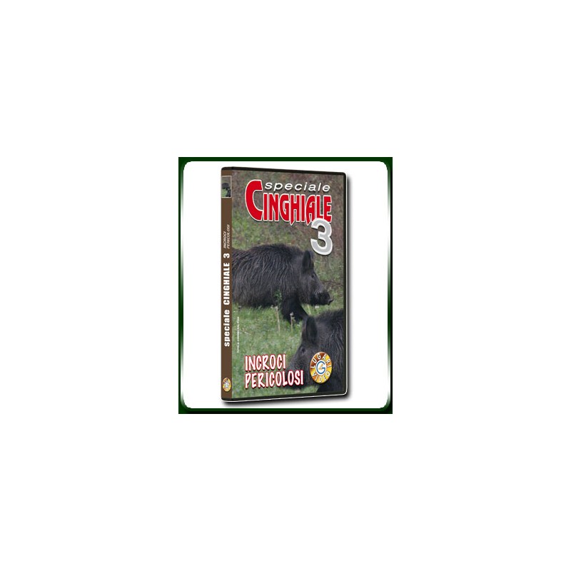 Speciale CINGHIALE 3 INCROCI PERICOLOSI