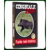 CINGHIALE 2009 Furie nel Mirino
