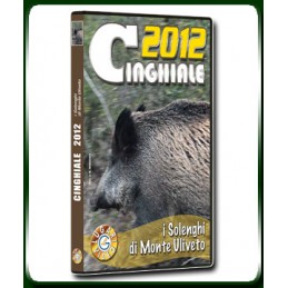 CINGHIALE 2012 I Solenghi di Monte Uliveto