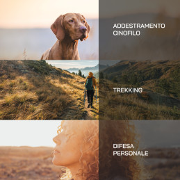 Simulatore DIANA 2 colpi