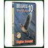 BECCACCE con gli Specialisti 10 MAGICHE SVERNANTI