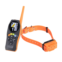 Collare educativo Canicom R-500