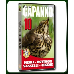 Caccia da CAPANNO 10 MERLI - BOTTACCI - SASSELLI - CESENE