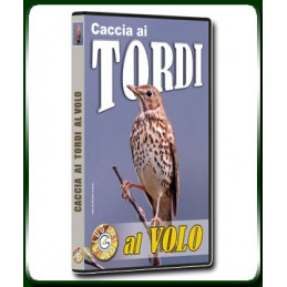 Caccia ai TORDI al VOLO