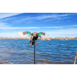 Alzavola ad ali rotanti Mojo Outdoors ES Green Wing Teal