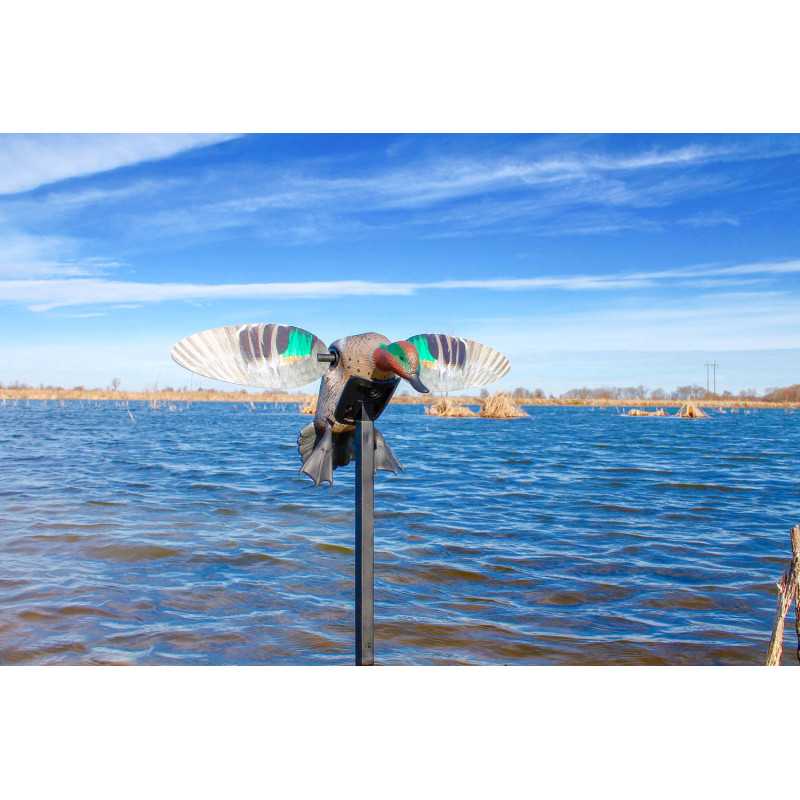 Alzavola ad ali rotanti Mojo Outdoors ES Green Wing Teal Alzavola ad ali rotanti Mojo Outdoors ES Green Wing Teal