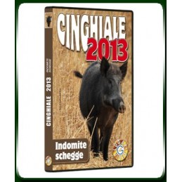 CINGHIALE 2013 INDOMITE SCHEGGE