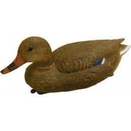 Stampo germano femmina