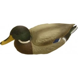 Stampo germano maschio