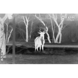 Termocamera palmare FLIR TS