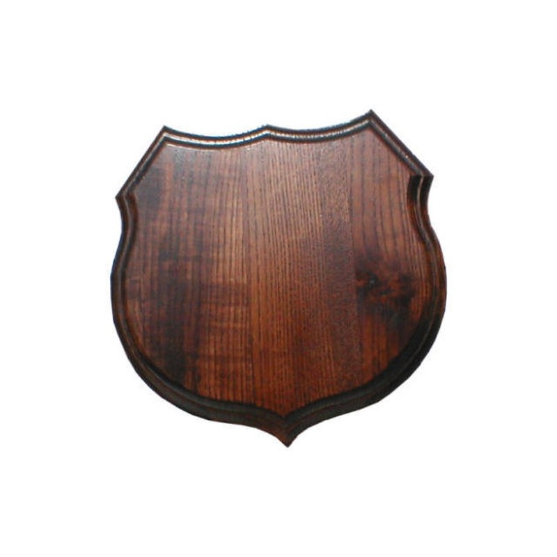 Scudetto per cinghiale scuro medio