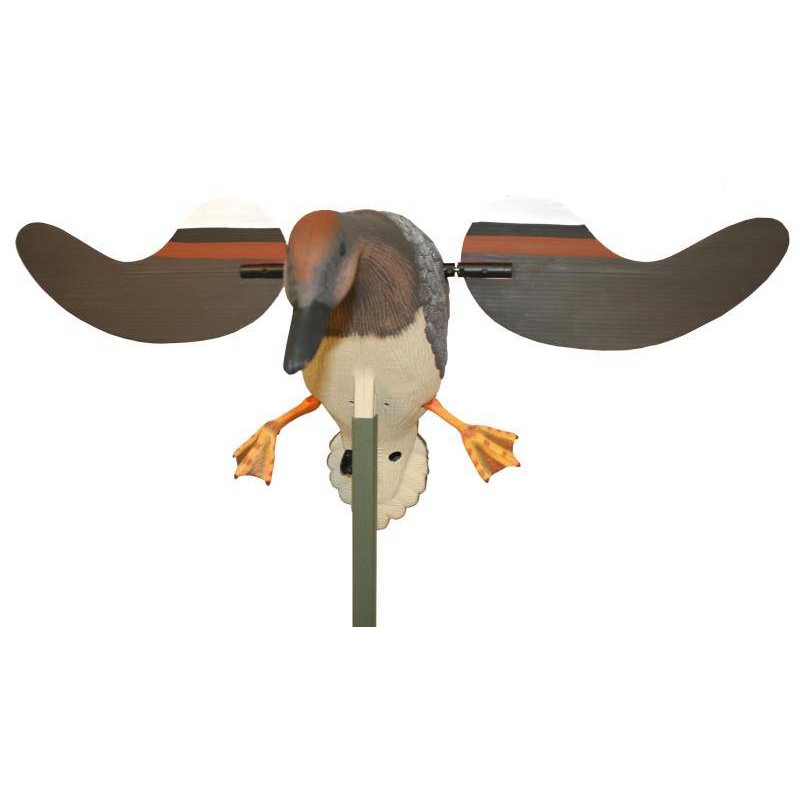 Mojo Baby GADWALL Canapiglia Mojo Baby GADWALL Canapiglia
